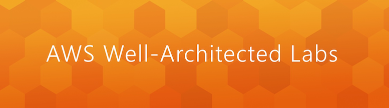 🧱 AWS Well-Architected フレームワークは、クラウドアーキテクトがアプリケーションにとって最も安全で、高パフォーマンスかつ、回復力があり、効率的なインフラを構築できるよう支援するために開発されました。このフレームワークは、顧客やパートナーがアーキテクチャを一貫した方法で評価できるようにし、アプリケーションのニーズに応じてスケール可能な設計を実装するためのガイダンスを提供します。