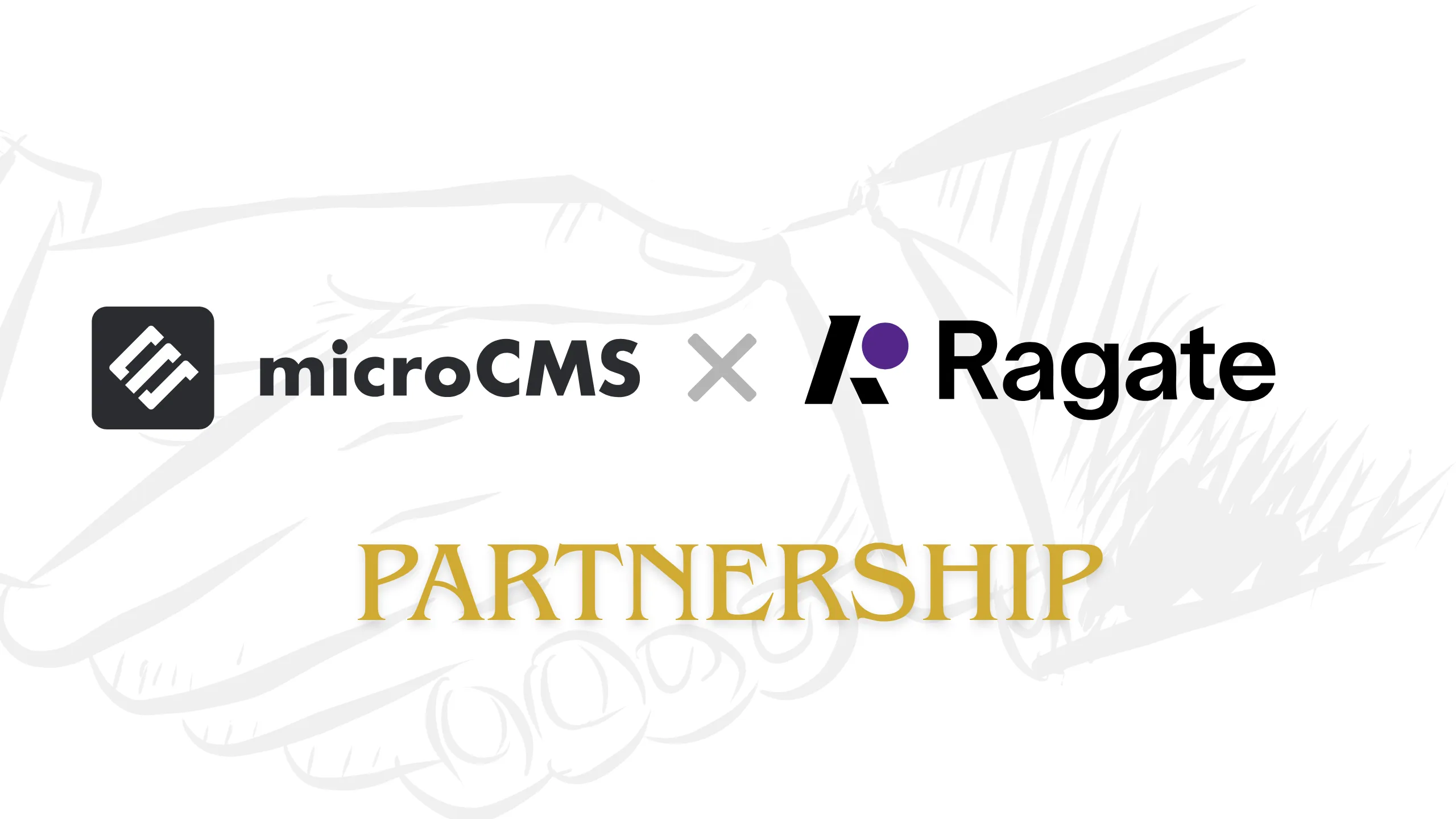 ヘッドレスCMS「microCMS」を提供する株式会社microCMSとパートナーシップを締結 ファーストビュー画像
